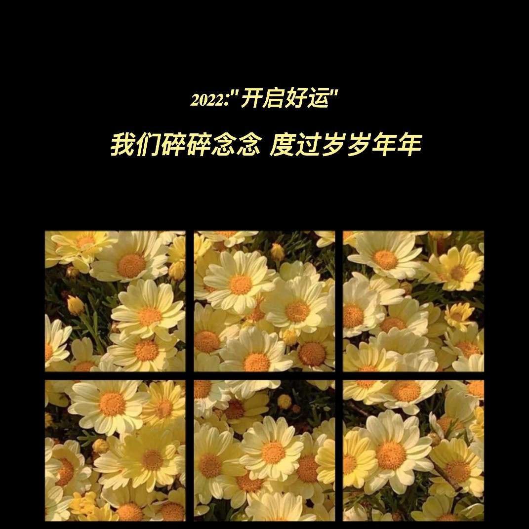 岁