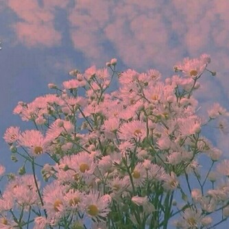 但愿