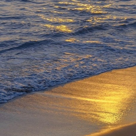 海