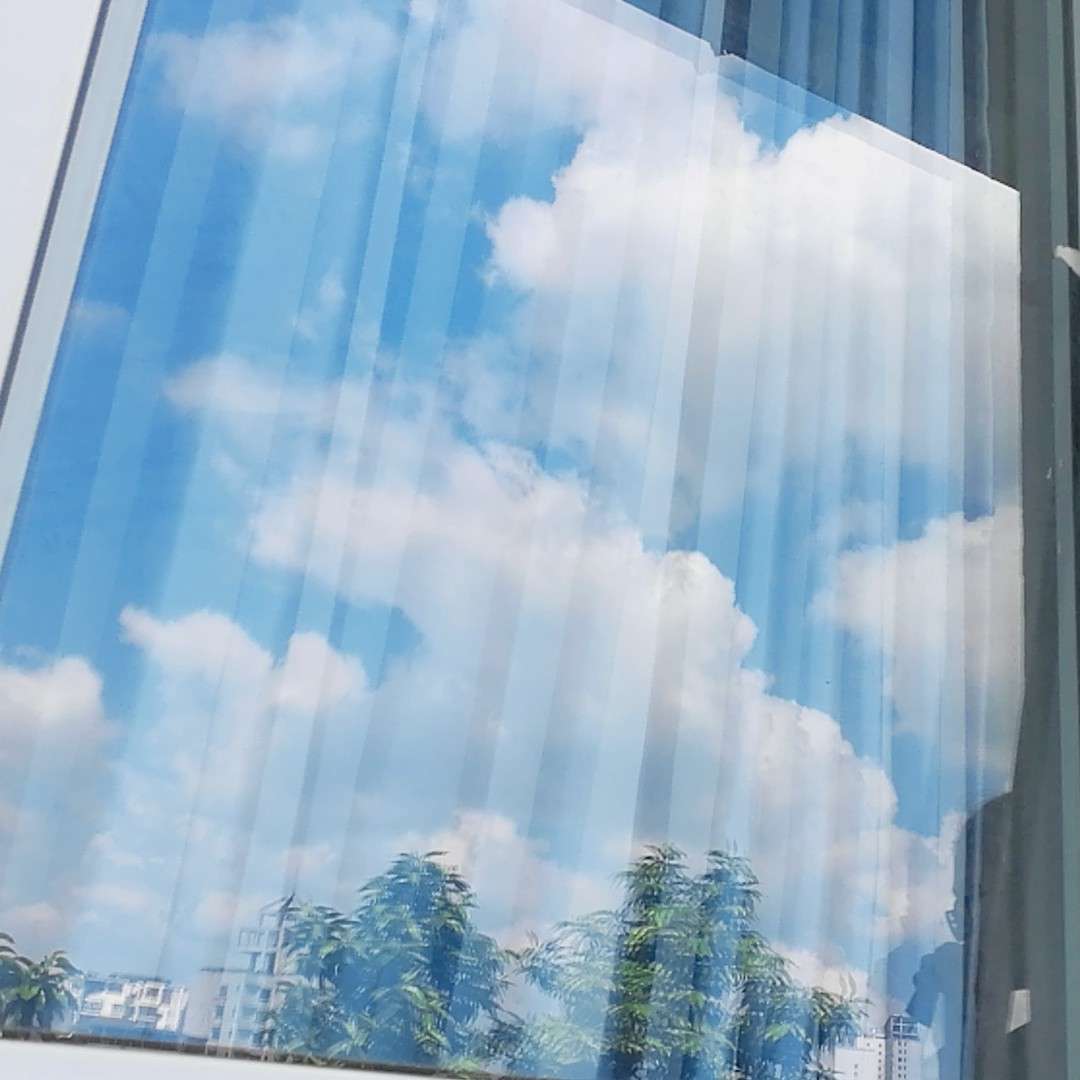 阳光正好