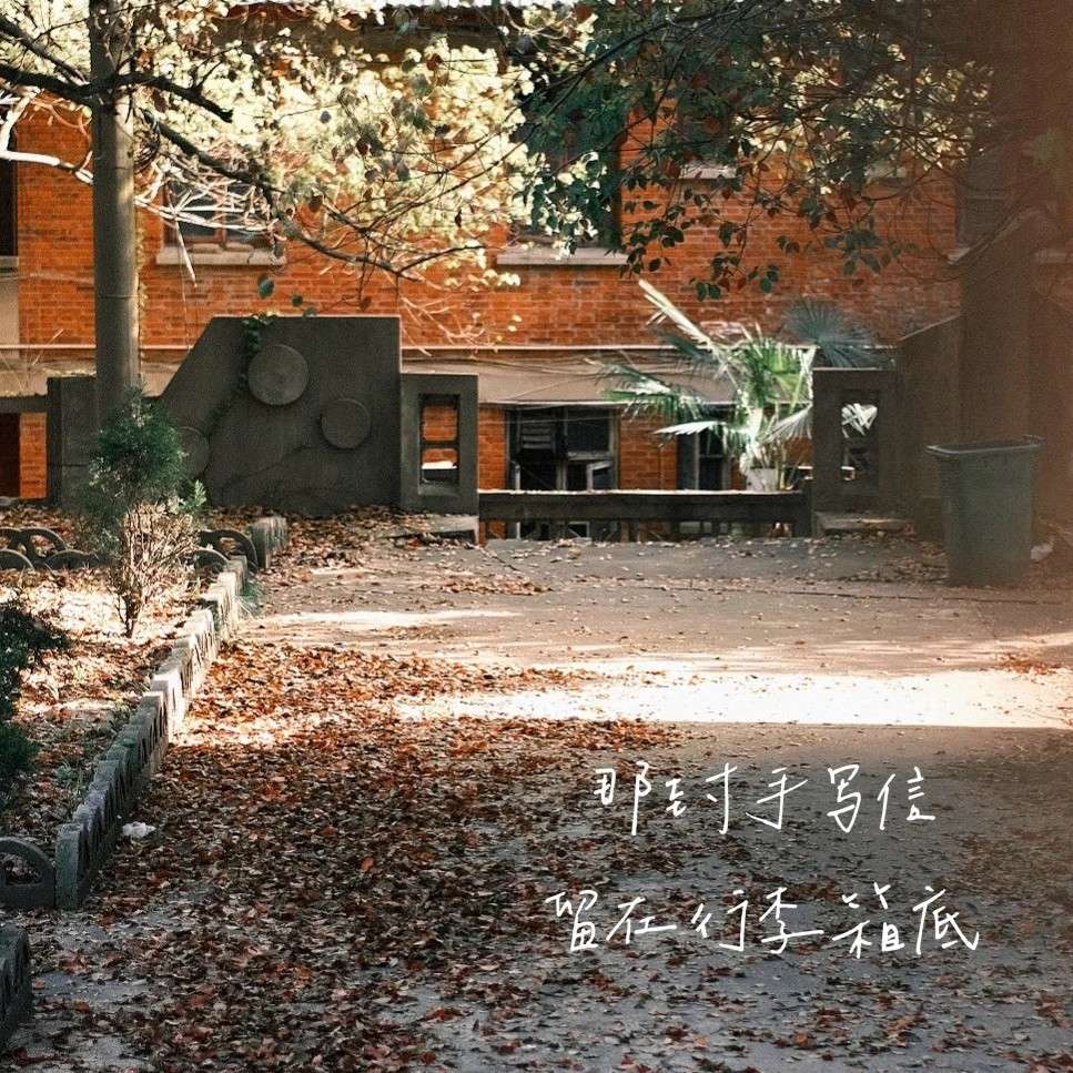 日常收录