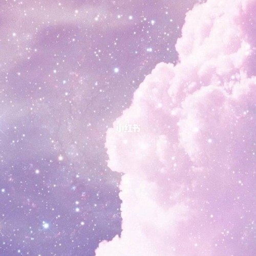 摘录