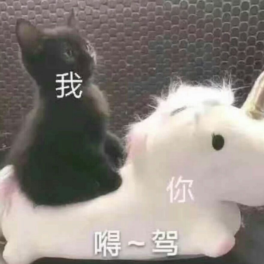 《沙雕文案》