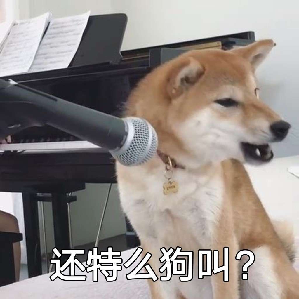 Eternity的专辑