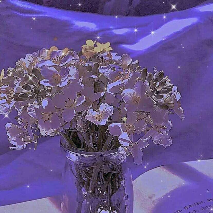 玉婻的专辑