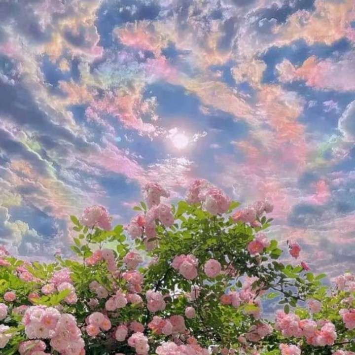 不悔
