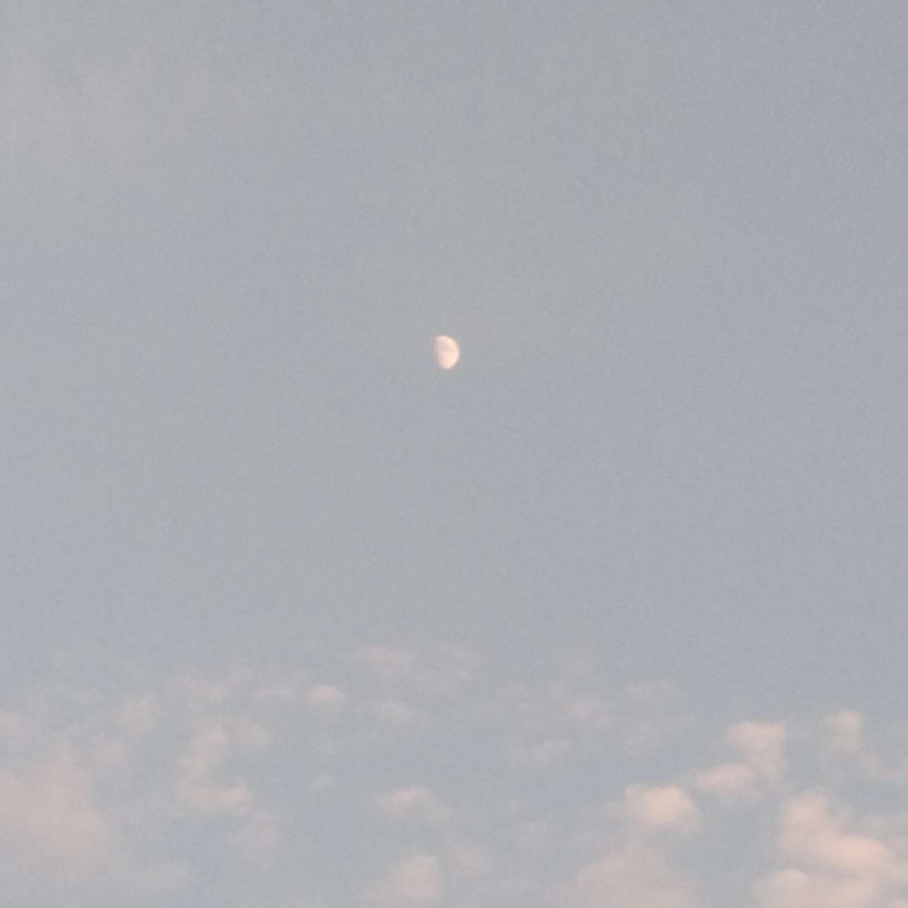 芒果不加冰.的专辑