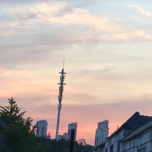 祝星本幸