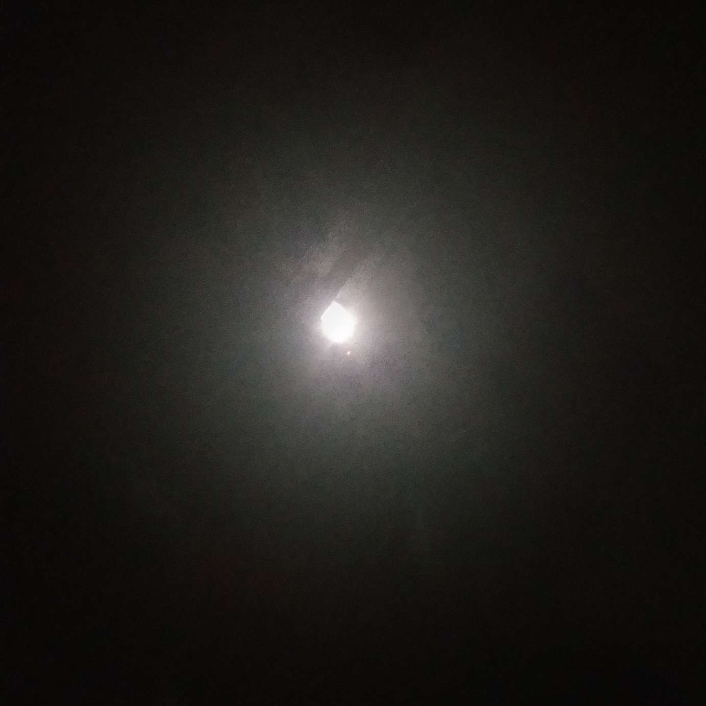 随便吧