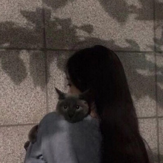 网名耶
