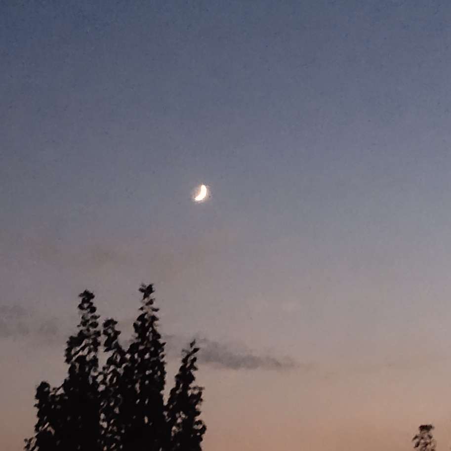 蜀鹤的专辑