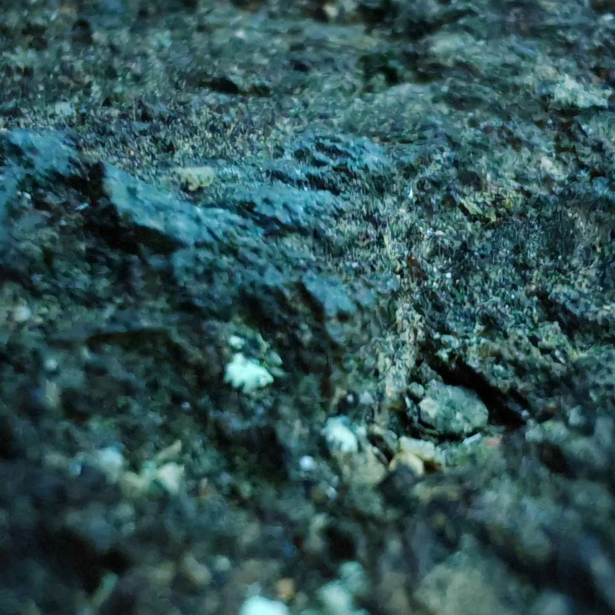 愈