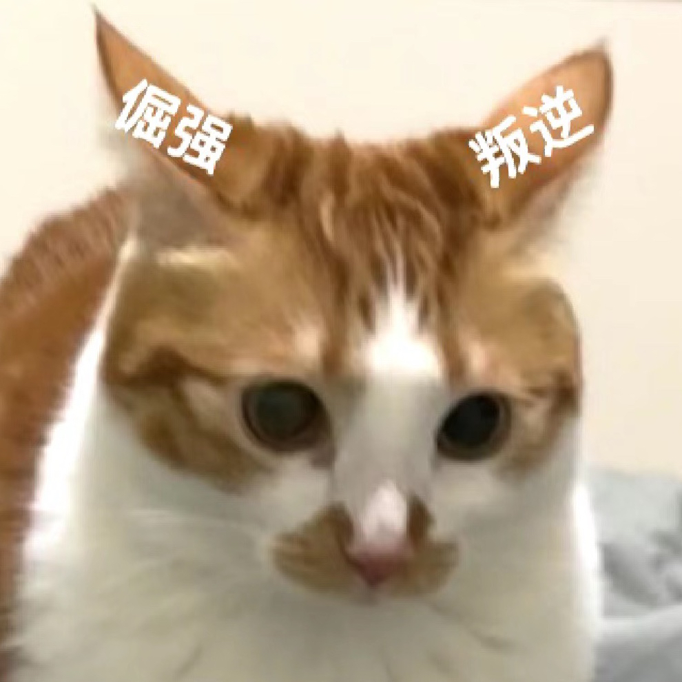 天生反骨的搞笑女文案