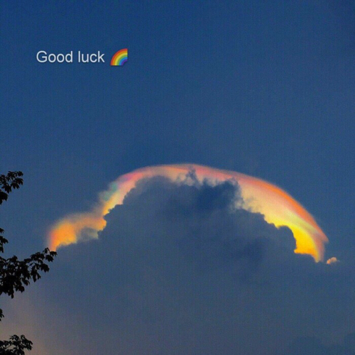 星💖