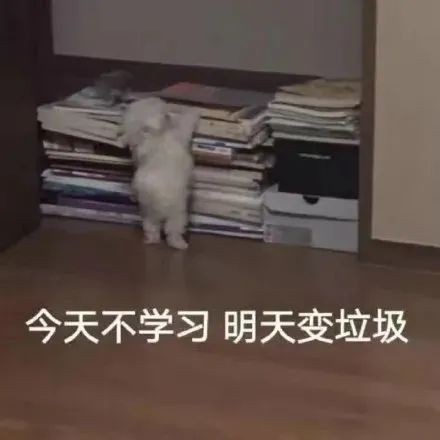 积累