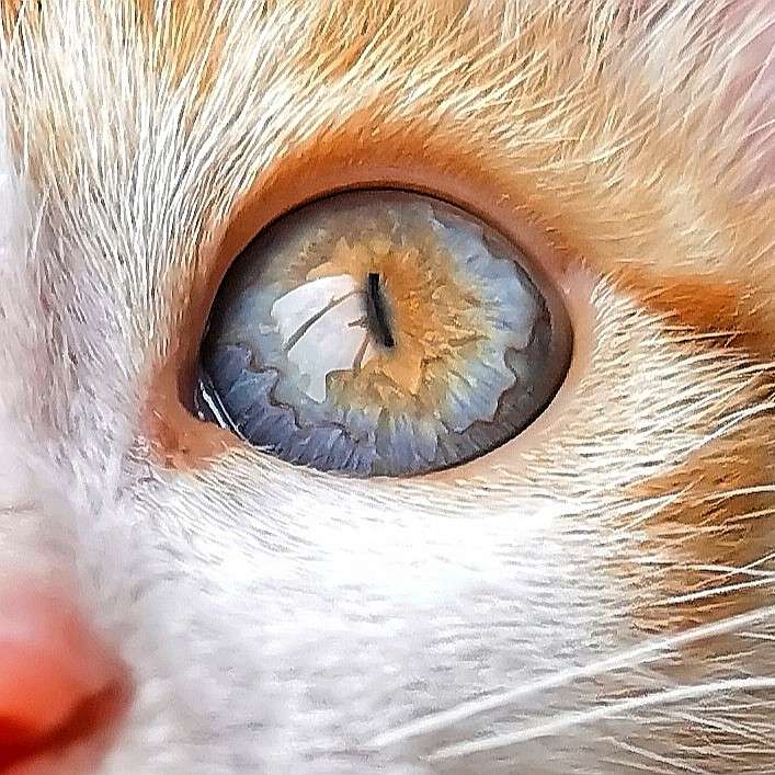 杂七杂八的