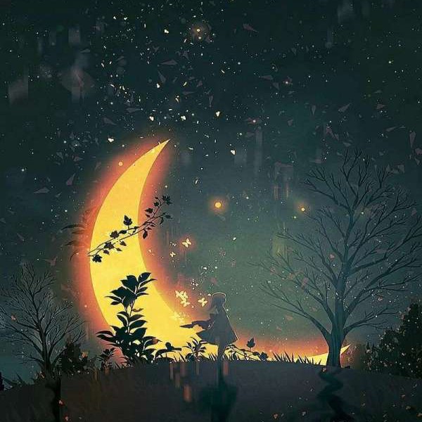 宇宙里的星星
