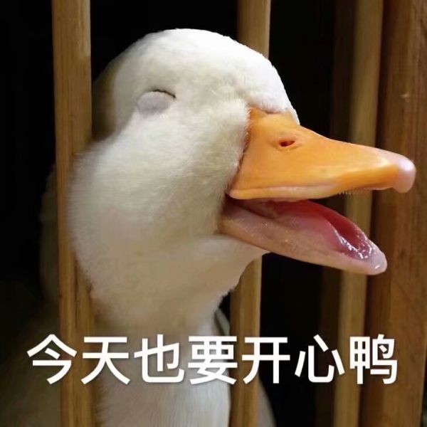 大象大象，你的鼻子为什么这么长