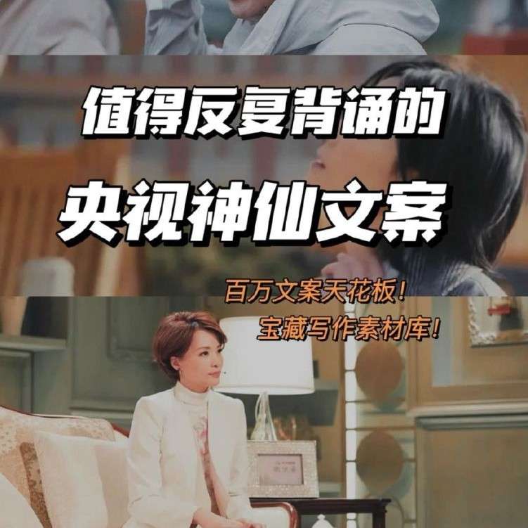 央视语录