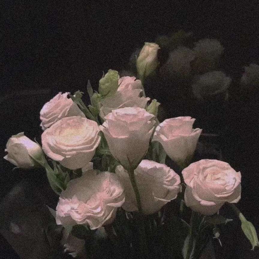 小骆的耳朵会动