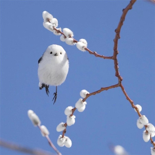 专辑NO.6