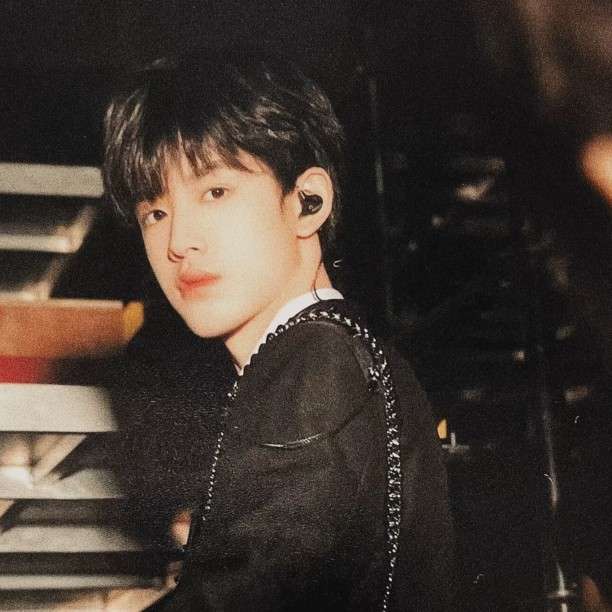 tf家族文案
