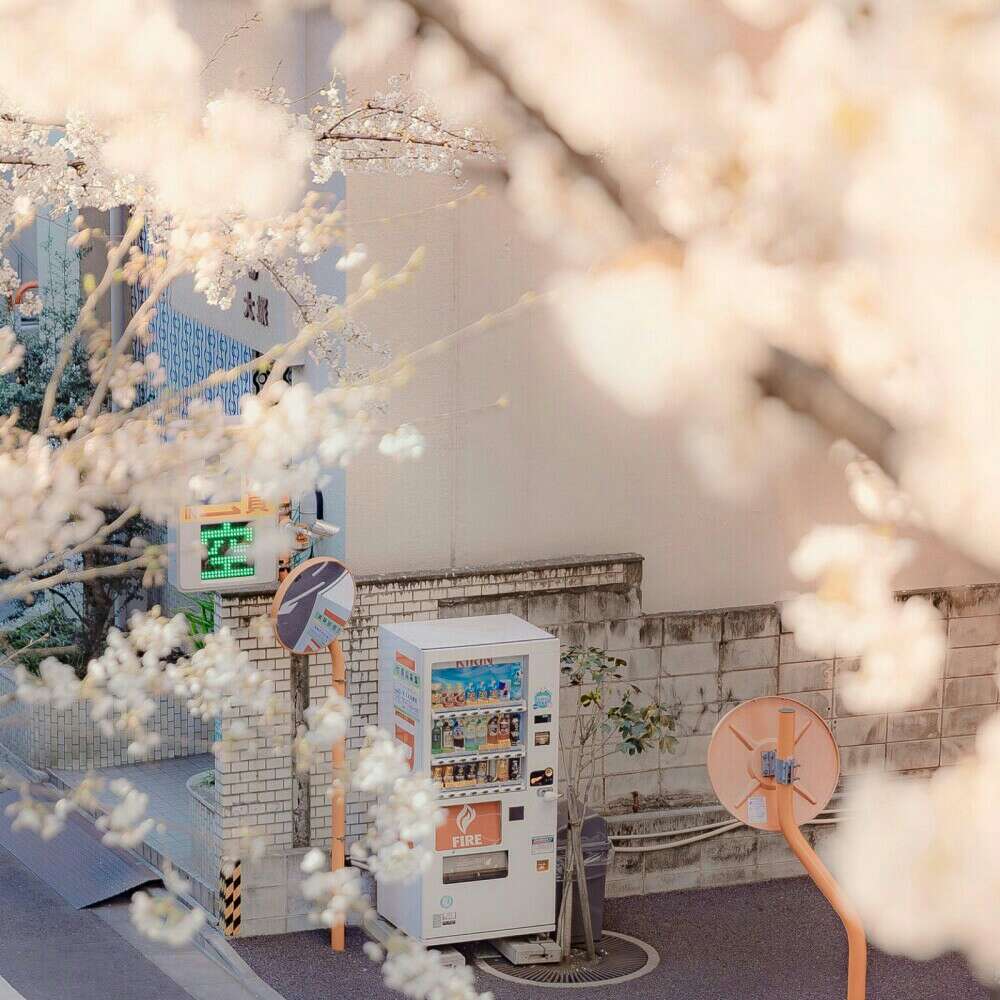 一些