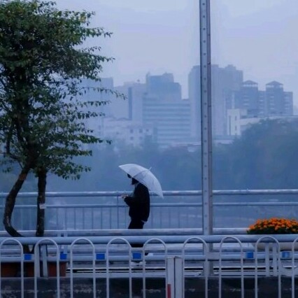 随性伤感