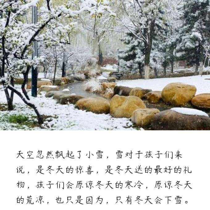 冬