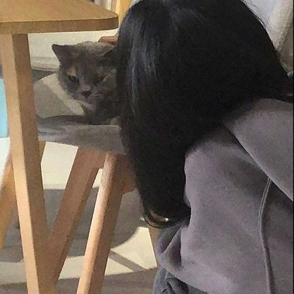 一招怼人
