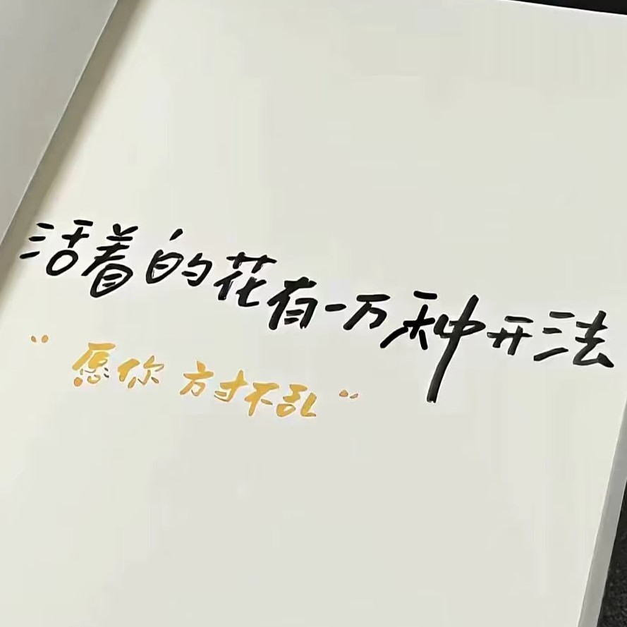 新的故事，