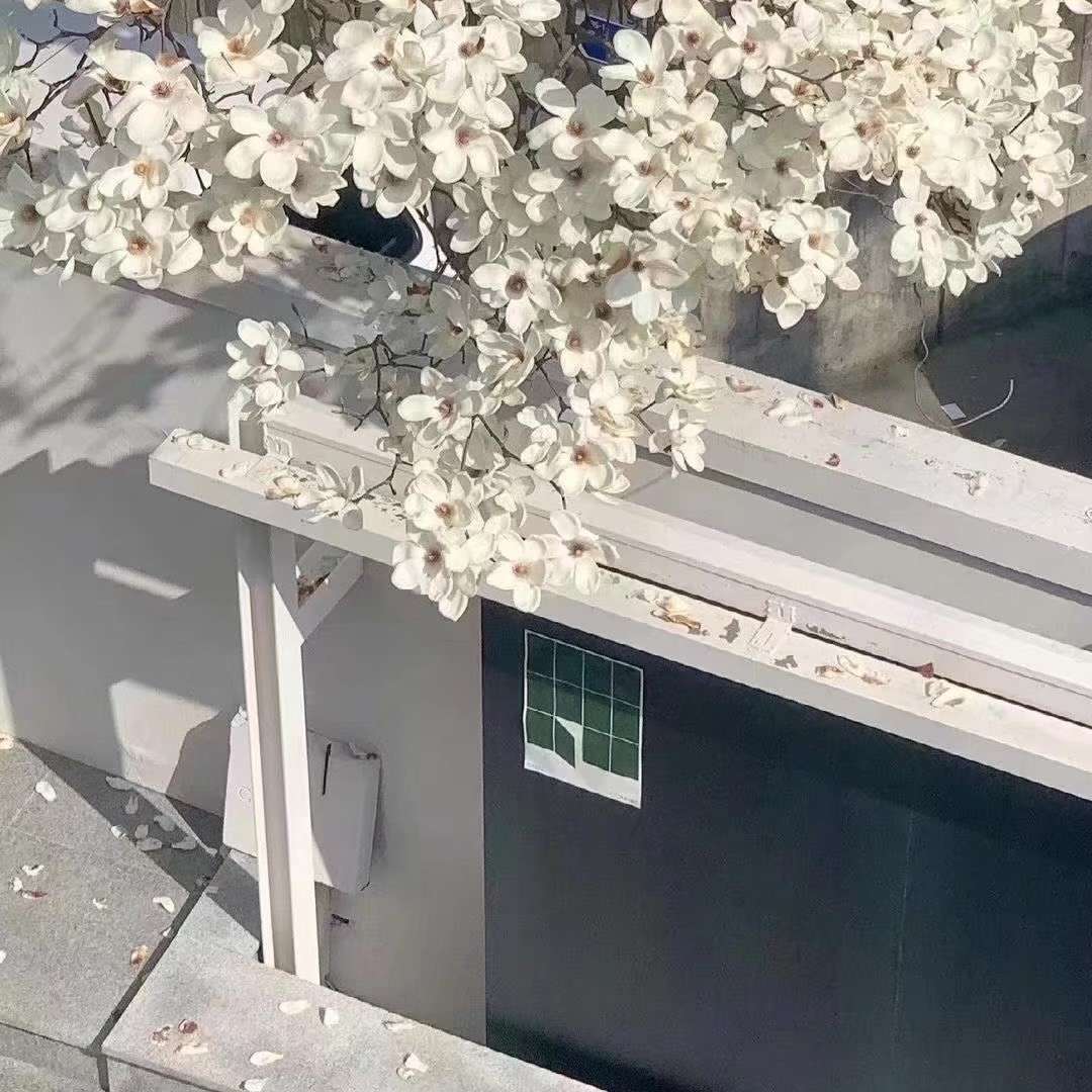 人生
