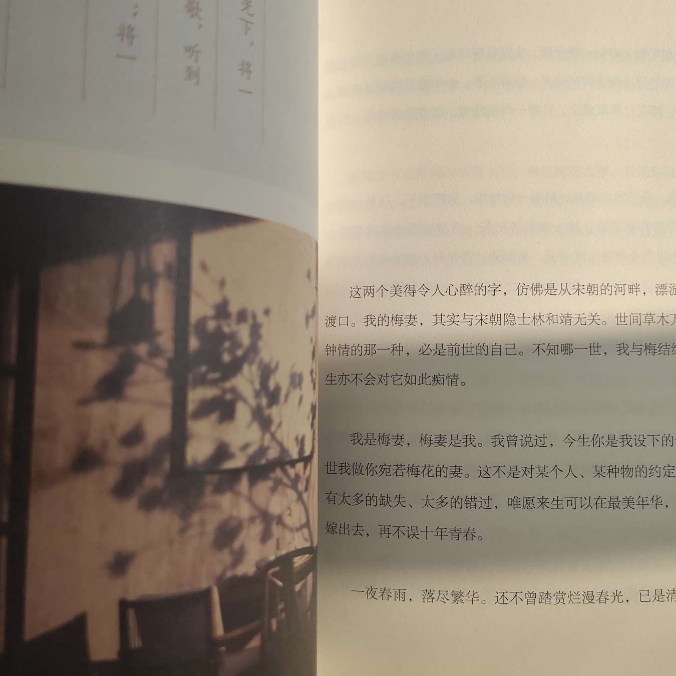 白落梅书籍