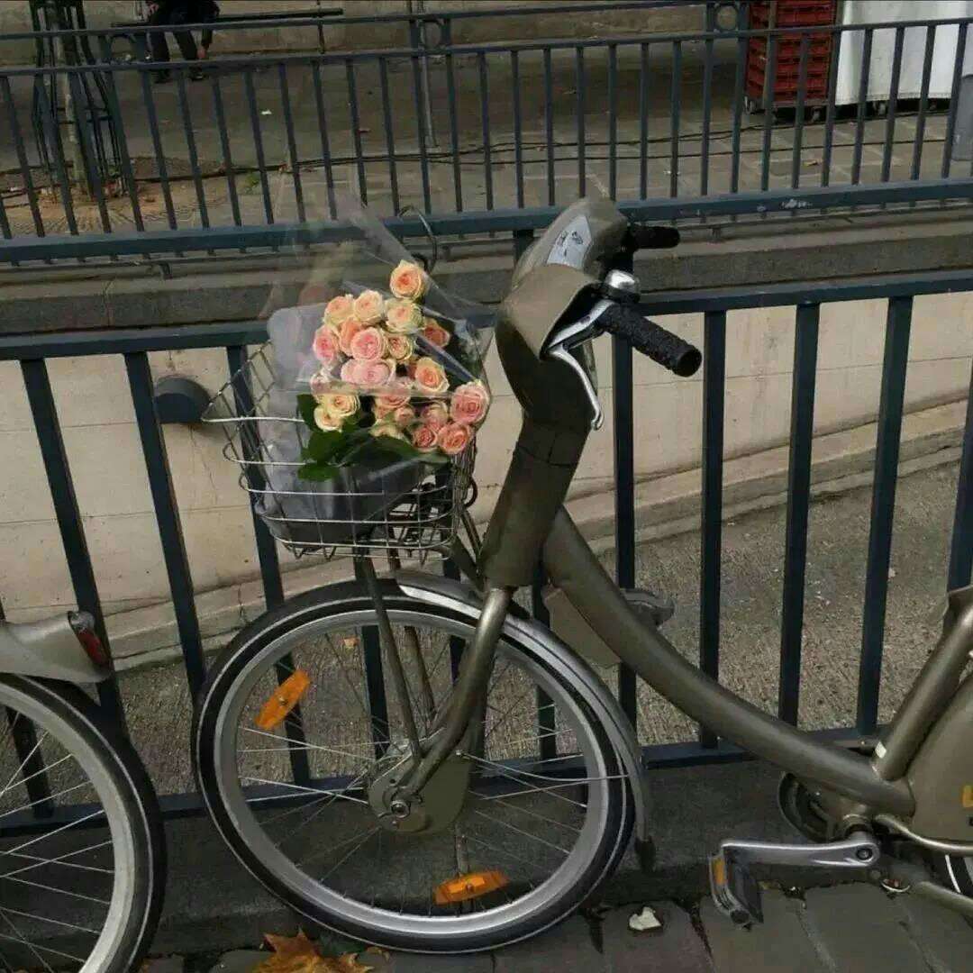 阳光书吧
