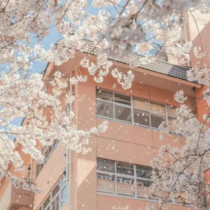 念念不忘
