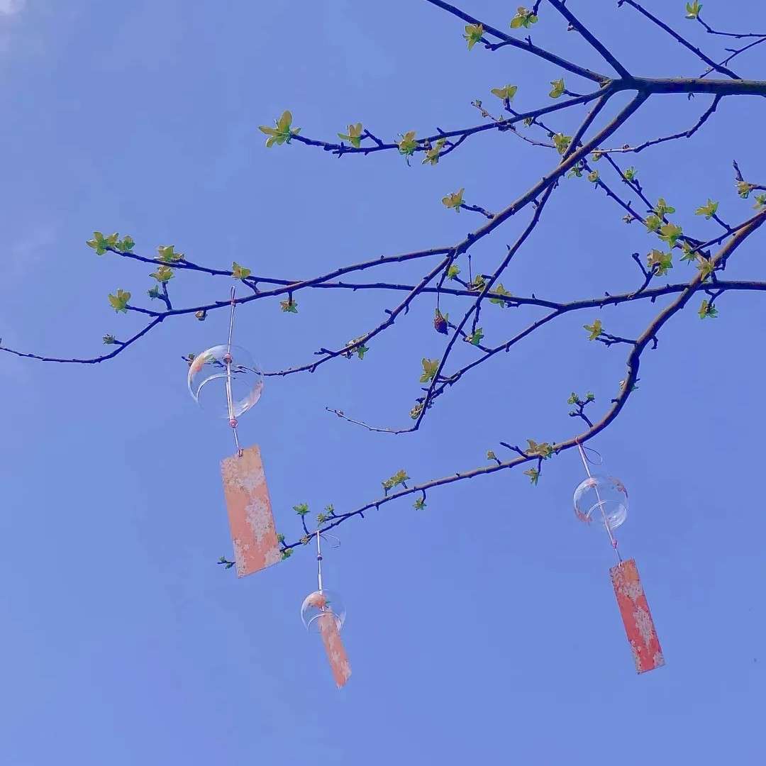 星河万里，是风的追求。