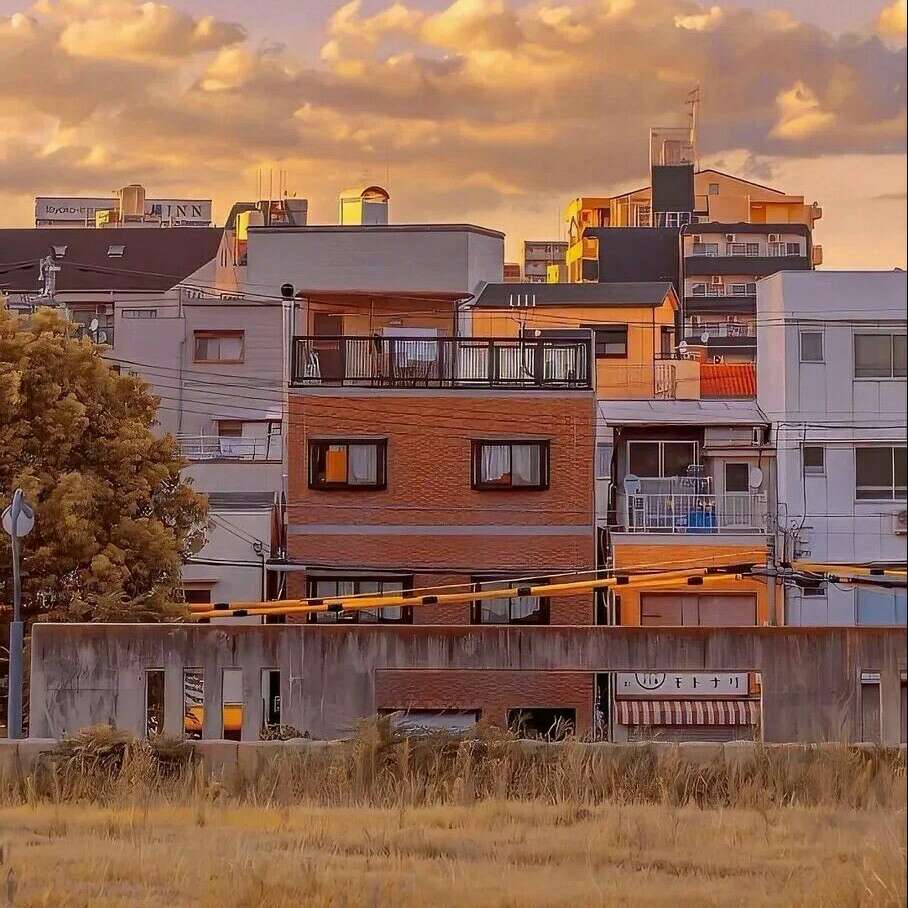 我的