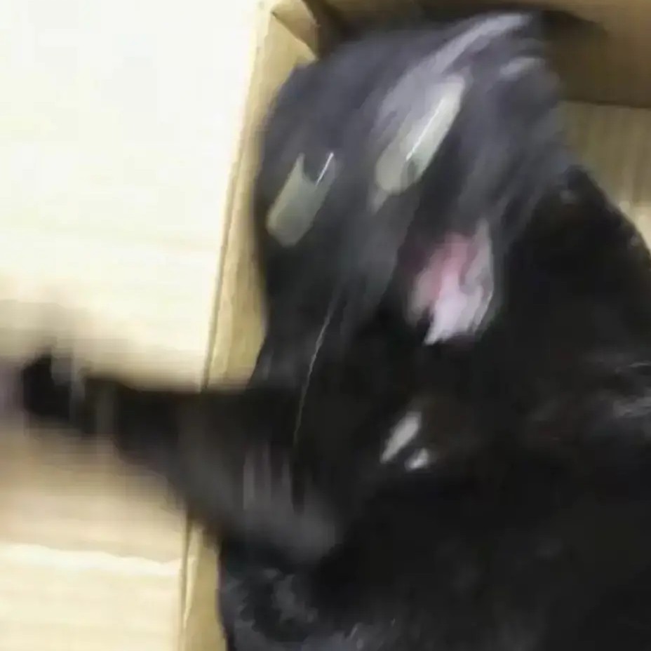 你好