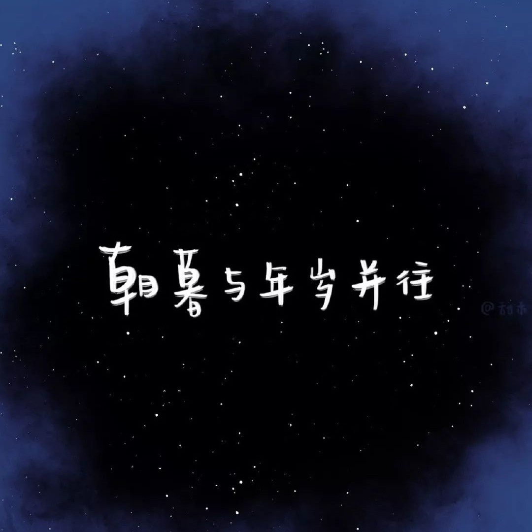 Y-眉目
