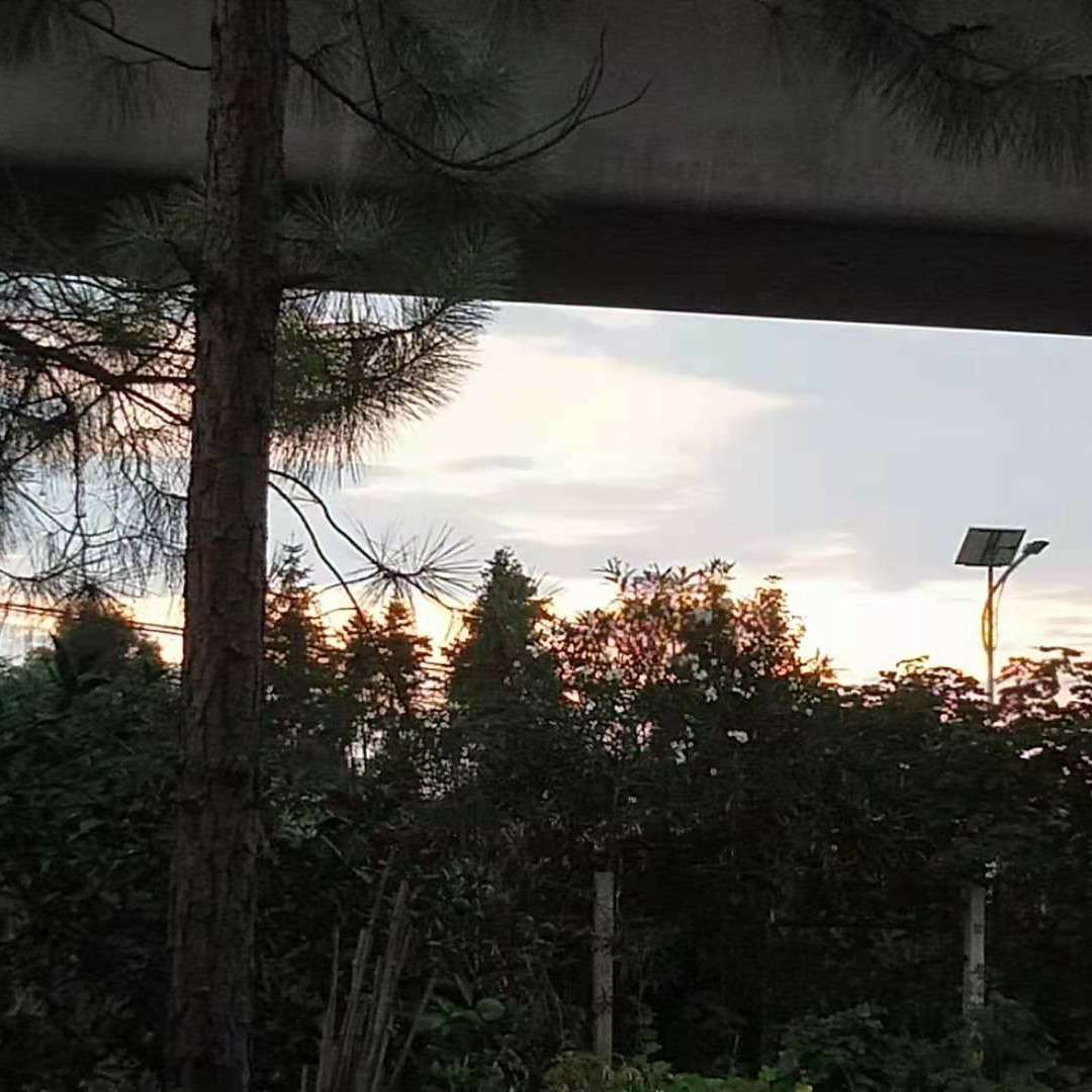 耽美小说