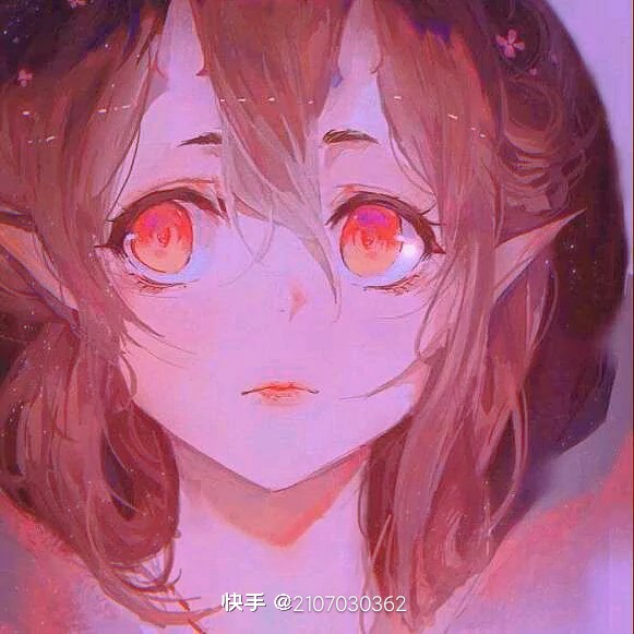 文章摘录