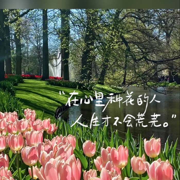爱