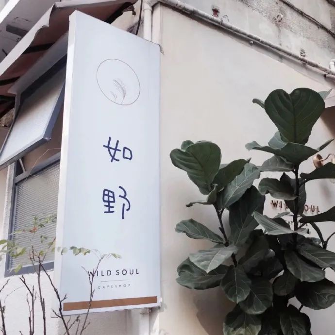 贰拾.