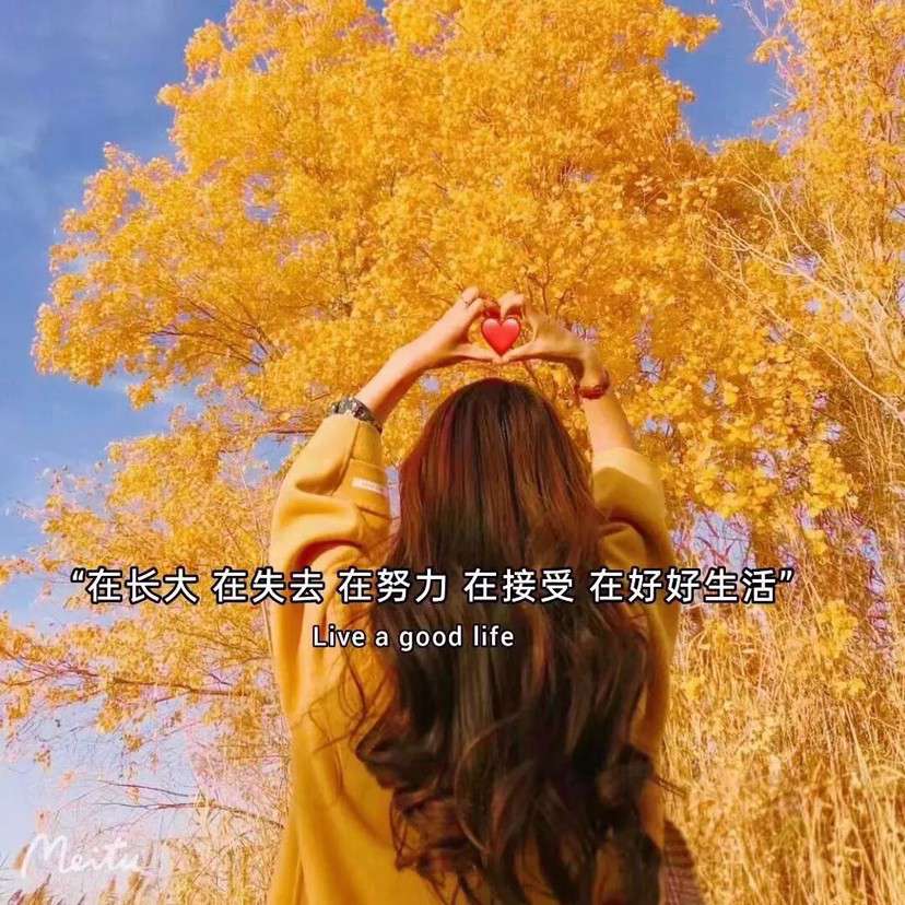 素材