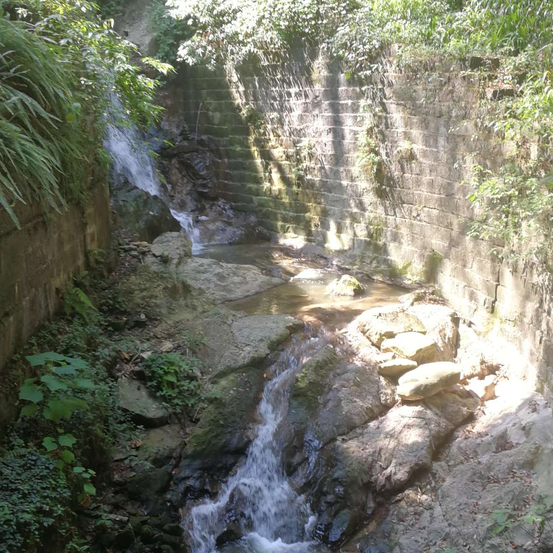 青春