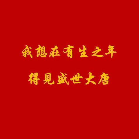 novel