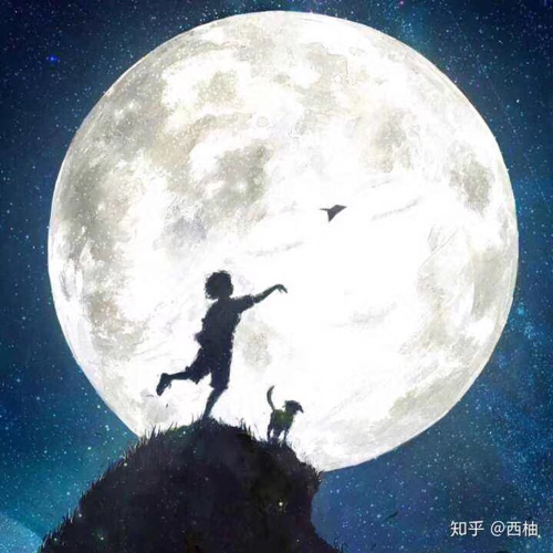 不羡尘.