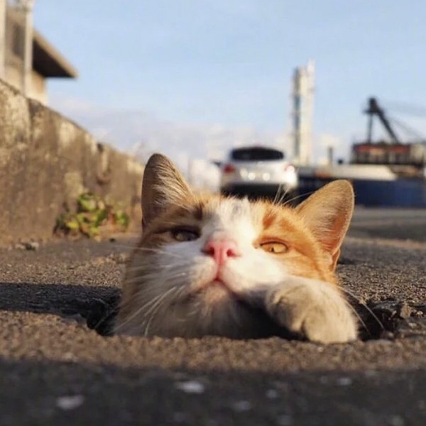 北鼻的专辑