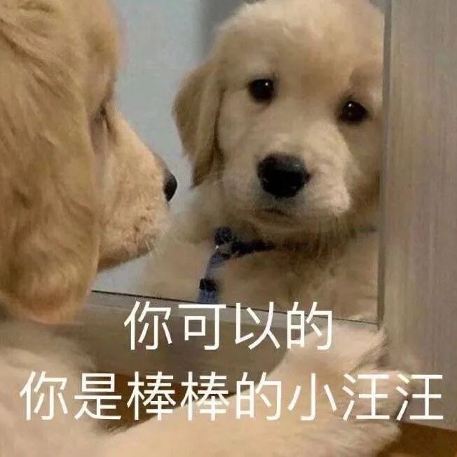 你还在这里