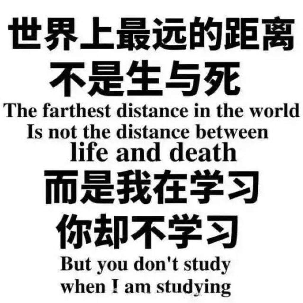 追光